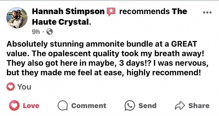 Client reviews